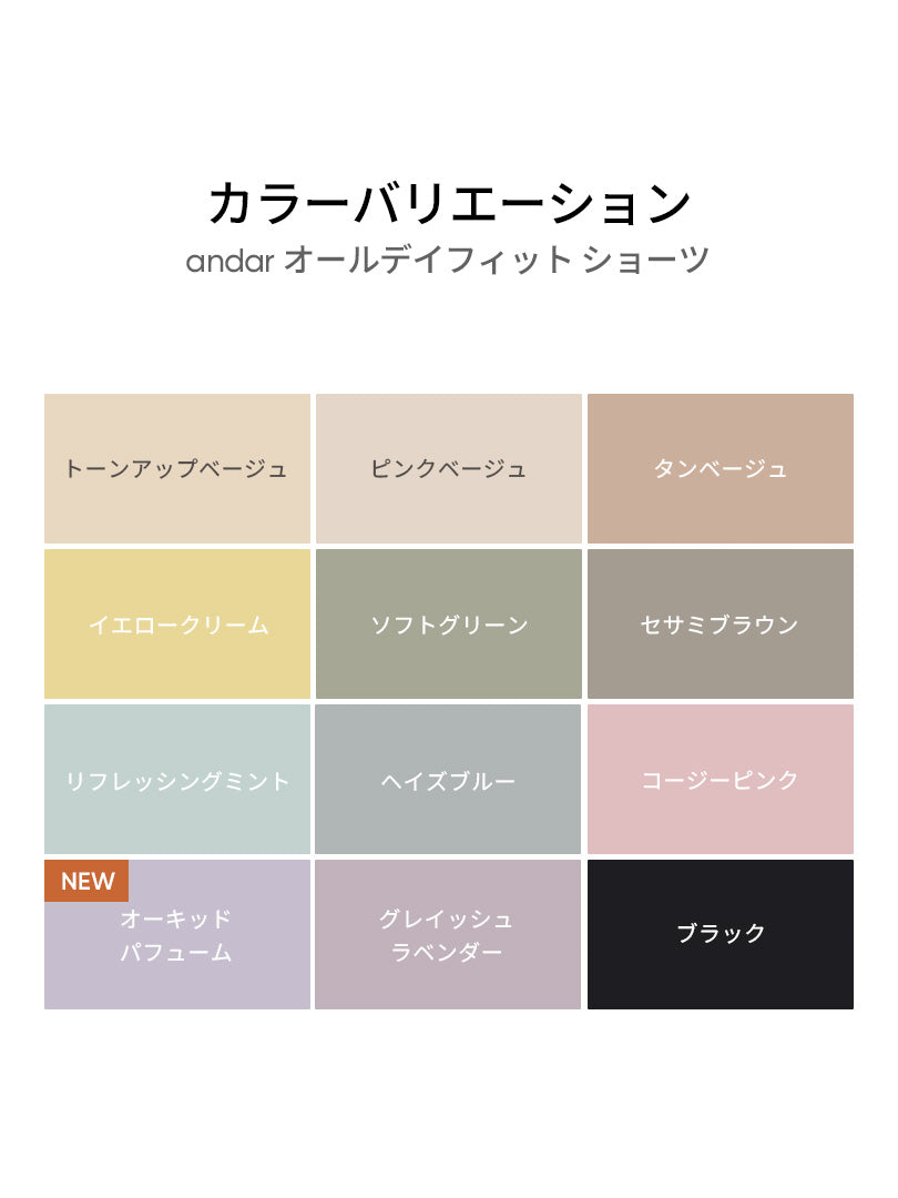 [3SET] andar オールデイフィット ショーツ - andar JAPAN