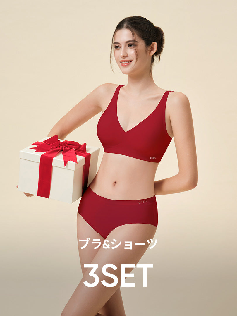 [2026 運気UP!] [3SET]andar オールデイフィットブラ(パッド一体型／2タイプ選択可)＆ショーツ
