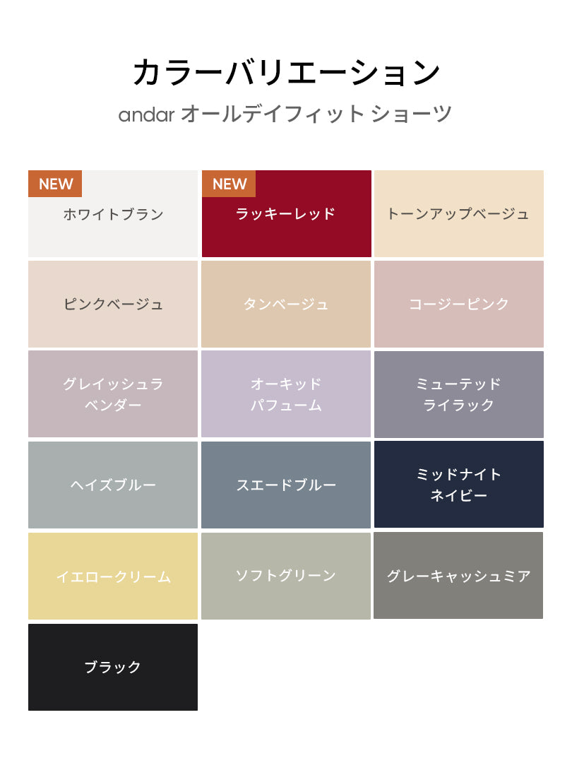 [2026 運気UP!] [3SET]andar オールデイフィットブラ(パッド一体型／2タイプ選択可)＆ショーツ